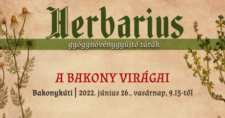 Vasárnap a Bakony virágainak felfedezésére indul gyógynövénygyűjtő túra